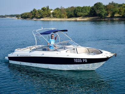 Hors-bord Bayliner 249 DB · 2006 (0)