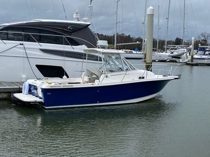 Bateau à moteur Bayliner Trophy · 2008 (0)