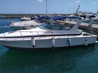 Bateau à moteur Bertram 33 · 1996 (réarmé 2021) · Taddy Blu (1)