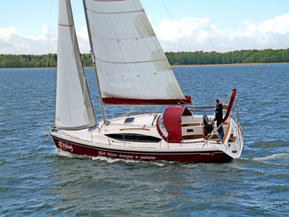 Sailboat Maxus 33.1 RS · 2017 (0)