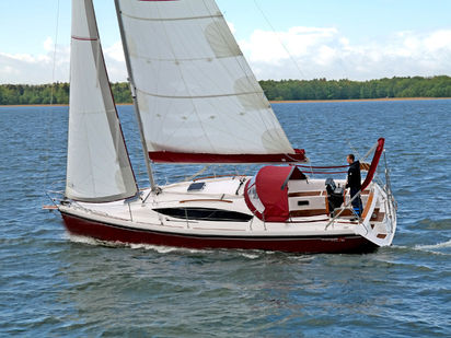 Sailboat Maxus 33.1 RS · 2020 · Wind Rose (0)