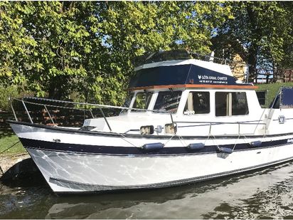 Motorboat Husky Dane · 2021 · Sophia ( Electric Drive) (0)