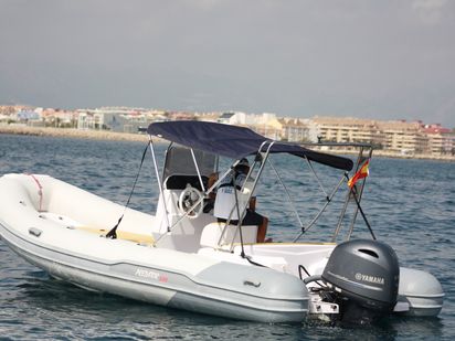 Bateau semi-rigide Predator 599 · 2017 (0)