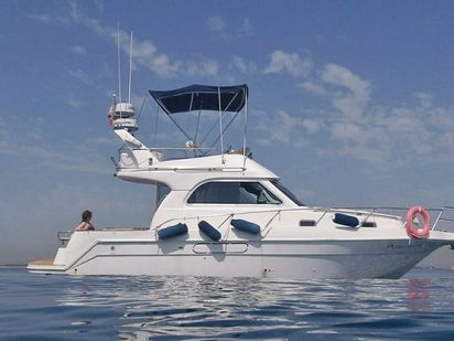 Motorboat Astinor 840 FLY · 2000 · Asrinor 1000LX (0)