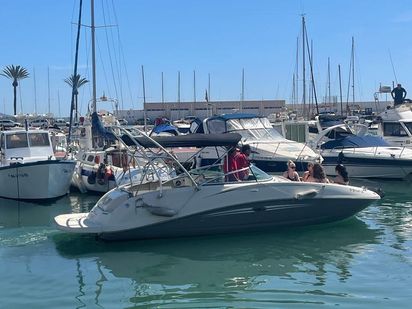 Speedboot Sea Ray 260 Sundeck · 2018 (refit 2019) · Sea Ray 260 Sundeck (0)