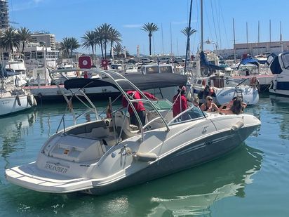 Speedboot Sea Ray 260 Sundeck · 2018 (refit 2019) · Sea Ray 260 Sundeck (1)