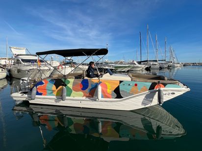 Sportboot Bayliner Element · 2016 (Umbau 2021) · Jarana (0)