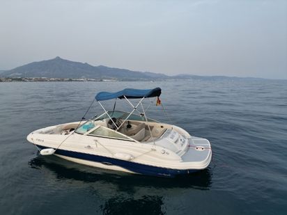 Motorówka szybka Sea Ray 200 Sundeck · 2012 (remont 2022) · BABY ONE (0)