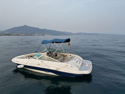Motorówka szybka Sea Ray 200 Sundeck · 2012 (0)