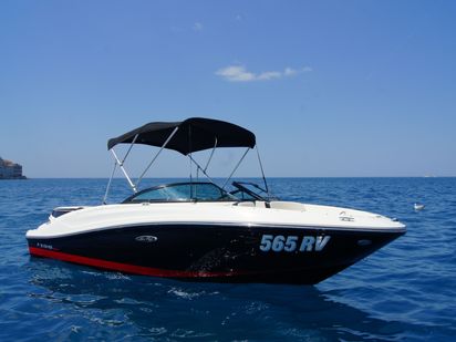 Motorówka szybka Sea Ray 190 Sport · 2013 (0)