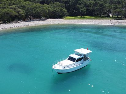 Bateau à moteur Custom Built · 1996 (0)