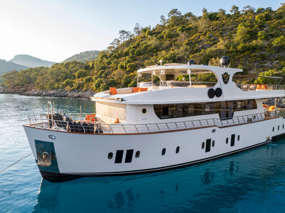 Motorboat Trawler 77 · 2015 (0)