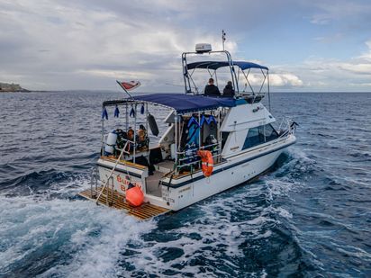 Bateau à moteur Bertram 28 Flybridge · 1991 (0)