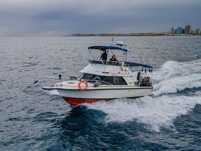 Motorboot Bertram 28 Flybridge · 1991 (Umbau 2023) · Buddy Boat (1)