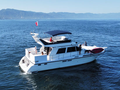 Motorboat Sea Ray 50 · 1990 · Kliza (0)