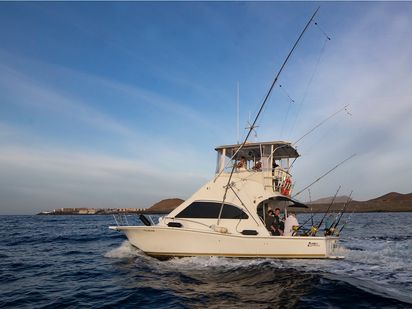 Bateau à moteur Luhrs 340 · 2000 · Ocadilla (0)