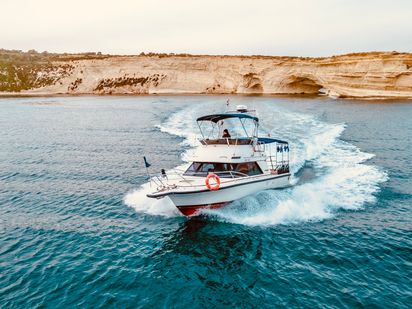 Bateau à moteur Bertram 28 Flybridge · 1991 (0)