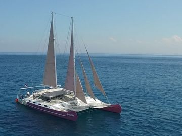 Catamarán Custom Built · 2012