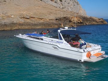 Motorboat Sea Ray 460 · 1992 (refit 2015) · Perseo 7 hours (1)
