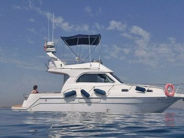 Motorboat Astinor 840 FLY · 2000 (0)