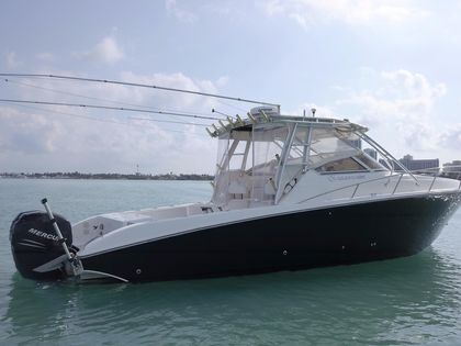 Motorboat Hydra-Sports 3300 VX · 2008 (0)