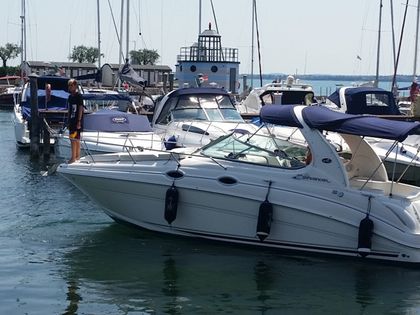 Bateau à moteur Sea Ray 315 Sundancer · 2006 (0)