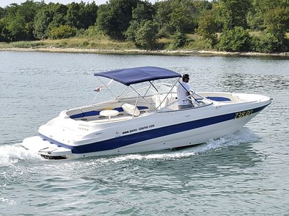 Speedboat Bayliner 249 DB · 2010 (1)