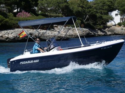 Motorboat Pegazus 460 · 2019 (0)