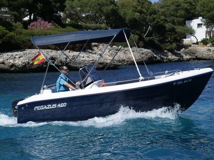 Bateau à moteur Pegazus 460 · 2019 (0)