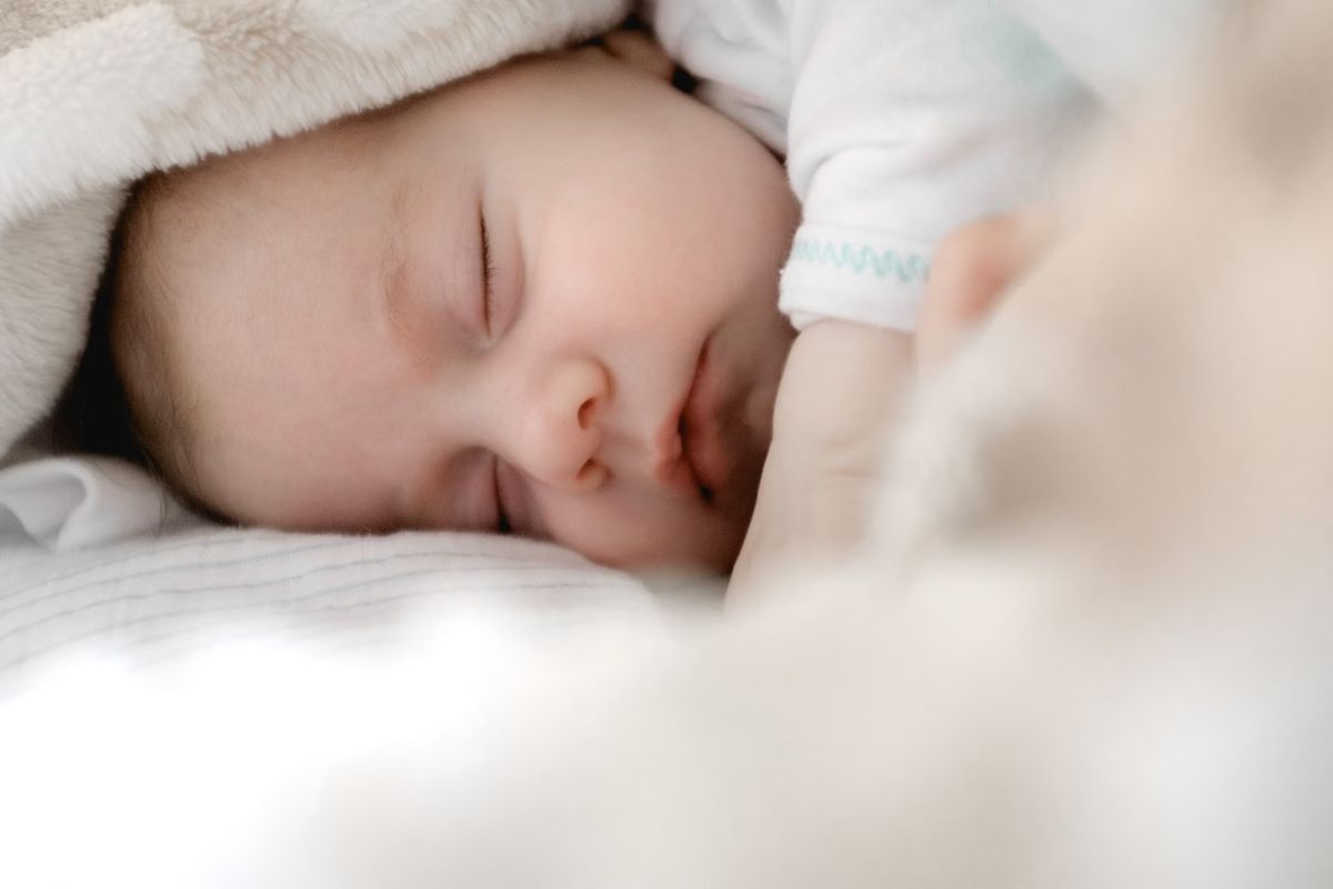 baby.jpeg baby.jpeg