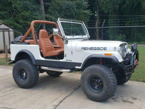 1984 Jeep CJ Renegade for sale