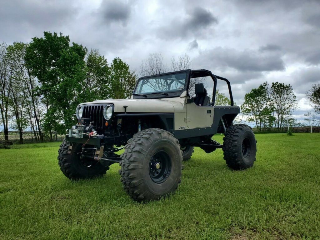 1995 Jeep Wrangler Rock