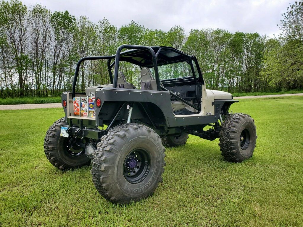 1995 Jeep Wrangler Rock