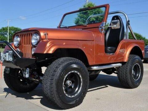 1979 Jeep CJ for sale