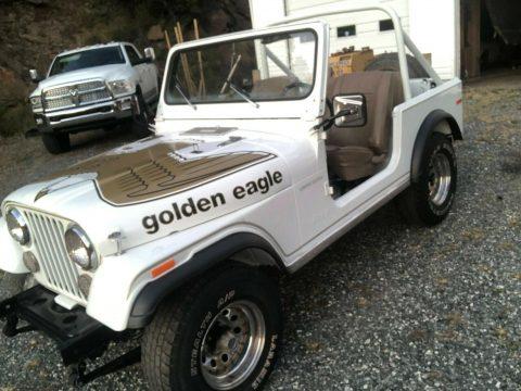 1978 Jeep CJ for sale