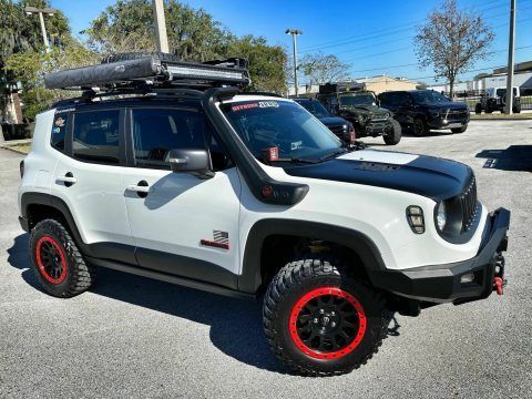 2017 Jeep Renegade Custom Trailhawk Leather NAV FUEL BILSTEIN for sale