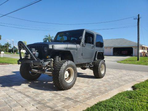 2001 Jeep Wrangler for sale
