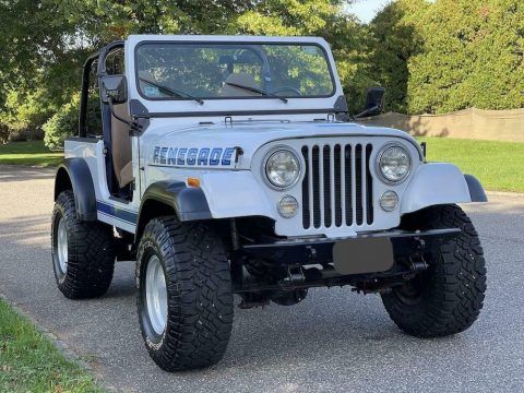 1984 Jeep CJ Renegade for sale