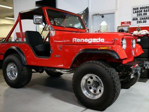 1979 Jeep CJ for sale