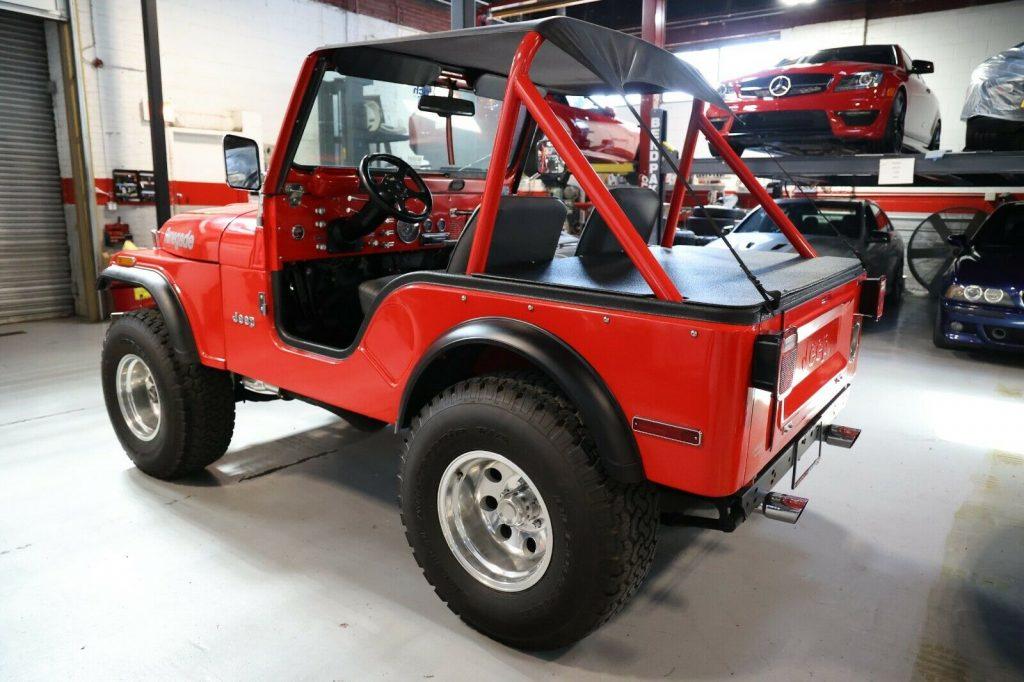 1979 Jeep CJ