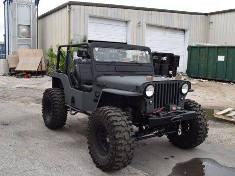 1948 Jeep CJ Willys for sale