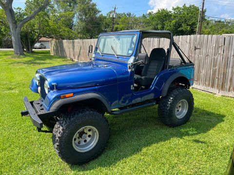 1979 Jeep CJ for sale
