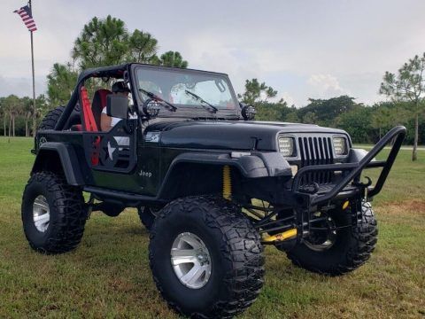 1993 Jeep Wrangler S for sale