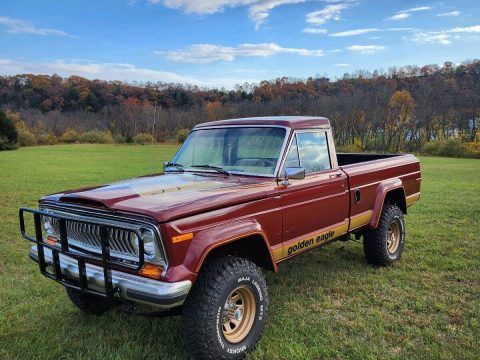 1984 Jeep Truck J10 for sale