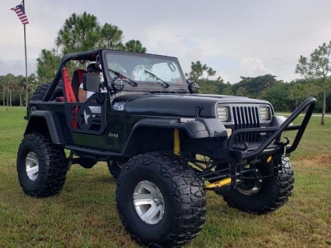 1993 Jeep Wrangler S for sale