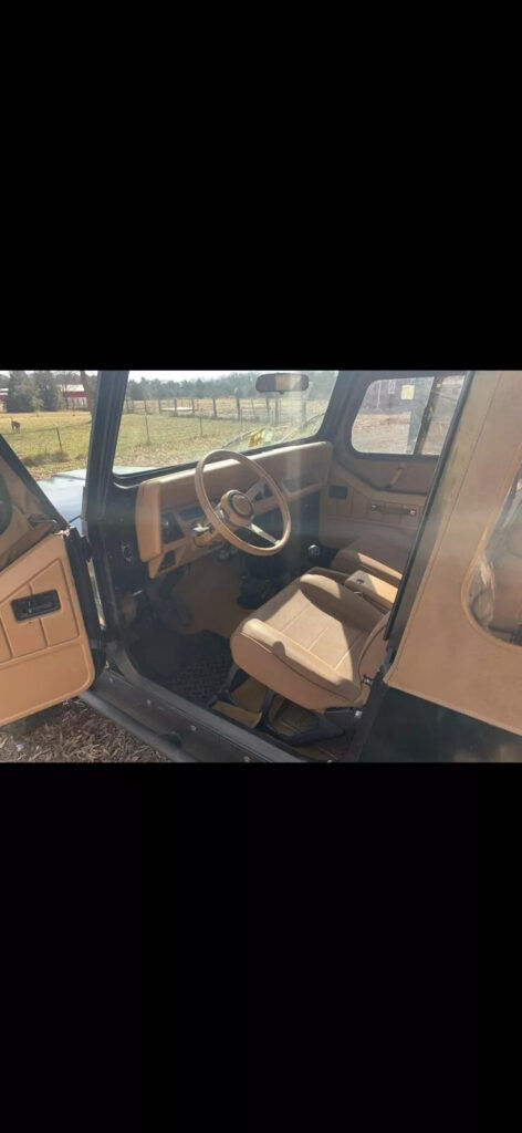 1987 Jeep Wrangler AmC