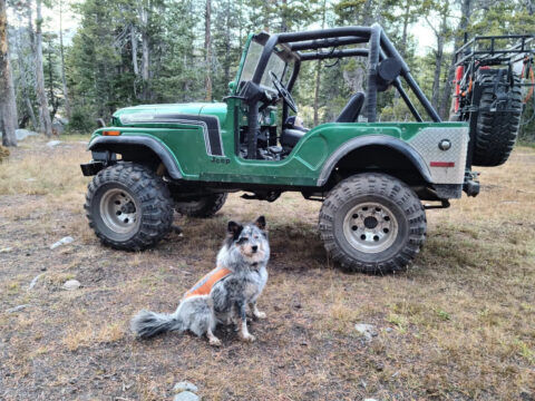 1974 Jeep CJ for sale