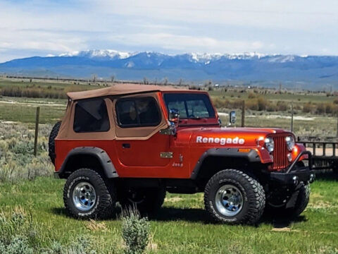 1978 Jeep CJ for sale