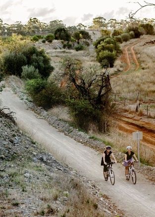 Explore from your Clare Valley Accommodation