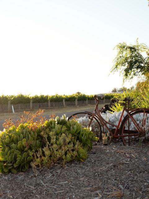 03-Palette-Exterior-Driveway-Bikes.jpg 03-Palette-Exterior-Driveway-Bikes.jpg